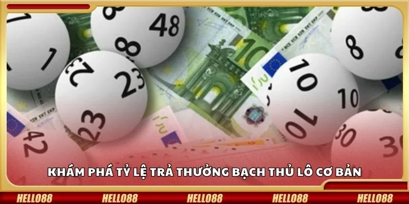 Khám phá tỷ lệ trả thưởng bạch thủ lô cơ bản