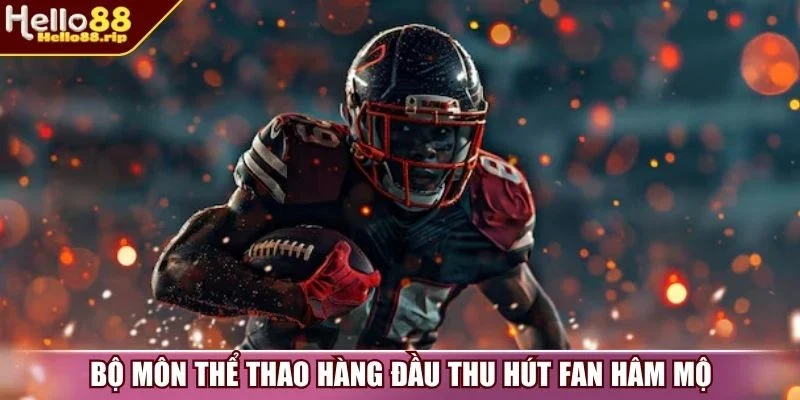Bộ môn thể thao hàng đầu thu hút fan hâm mộ