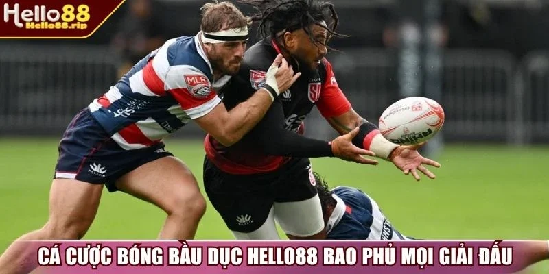 Cá cược bóng bầu dục Hello88 bao phủ mọi giải đấu