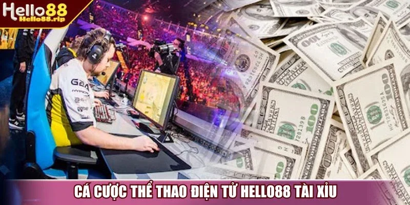 Cá cược thể thao điện tử Hello88 tài xỉu