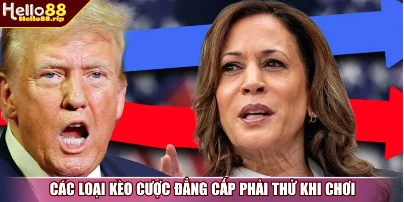 Các loại kèo cược đẳng cấp phải thử khi chơi