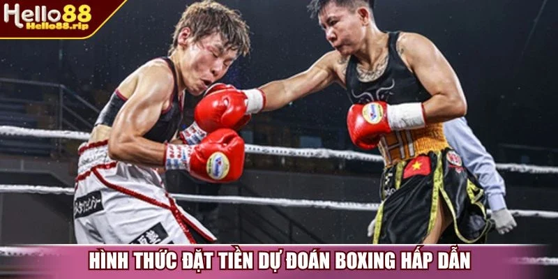 Hình thức đặt tiền dự đoán boxing hấp dẫn