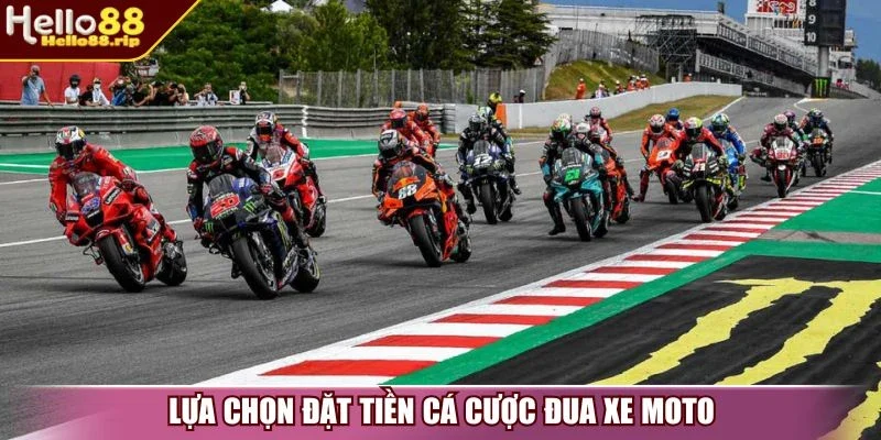 Lựa chọn đặt tiền cá cược đua xe moto 
