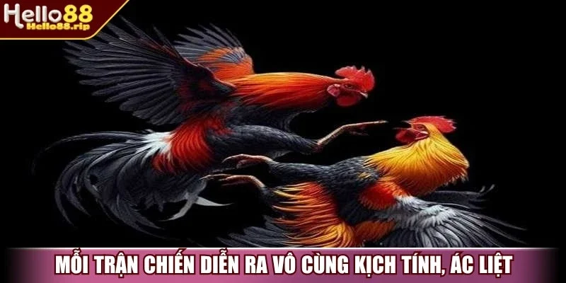 Mỗi trận chiến diễn ra vô cùng kịch tính, ác liệt
