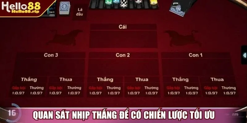 Quan sát nhịp thắng để có chiến lược tối ưu