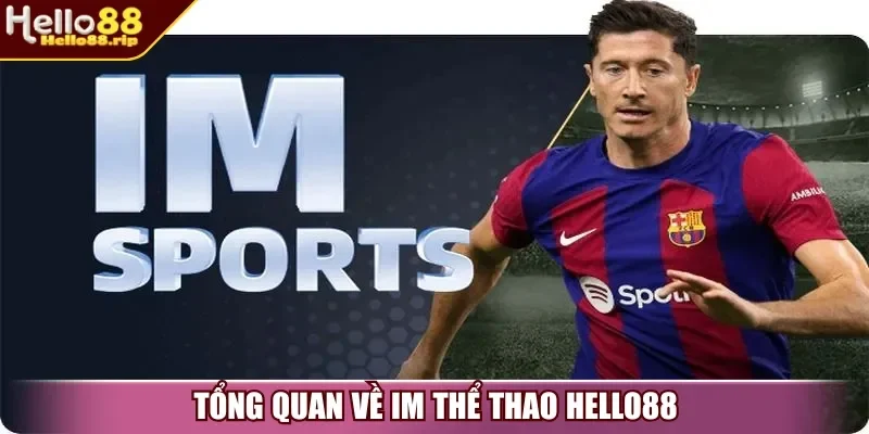Tổng quan về IM Thể Thao Hello88
