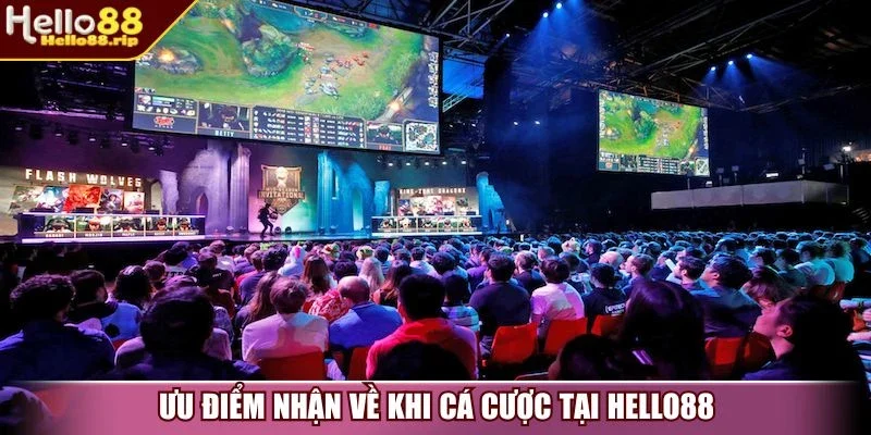 Ưu điểm nhận về khi cá cược tại Hello88